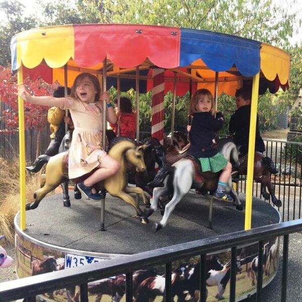 Ride - Merry Go Round includes Operator