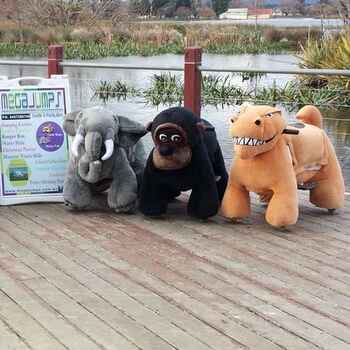 Battery Operated Animals includes operators